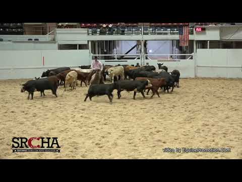 SJR Diamond Hilight shown by Clay Volmer - 2019 SRCHA Pre-Futurity (Herd - Open Futurity)