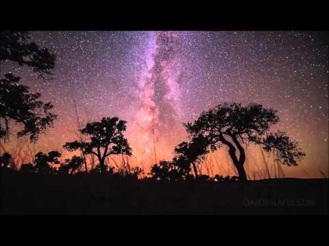 Tygris - Lyra (T-Mass Remix)