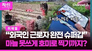 “외국인 근로자 완전 슈퍼갑” 힘들면 철수?????????…속도 내자 했더니 마늘 못쓰게 호미로 찍는 일까지!!! ???? [직썰]