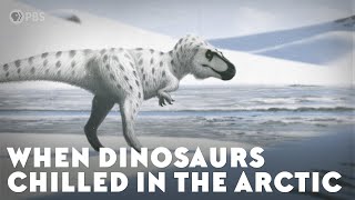 When Dinosaurs Chilled in the Arctic