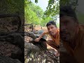 Unbelievable How Old These Tortoises Can Get Up To 300 Years Old