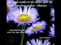 Language of the Soul - Introduction to On-Line Workshops (Family Constellations)
