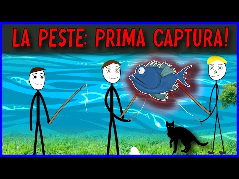 LA PESTE: PERDEAUA SI UNDITELE IMPROVIZATE! (+ANUNT CONCURS PROMOVARI)