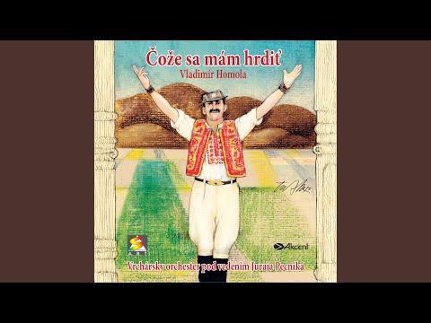 Z bohatýho som ja dvora – Fešák som ja