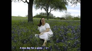 Bluebell Picnic 2001