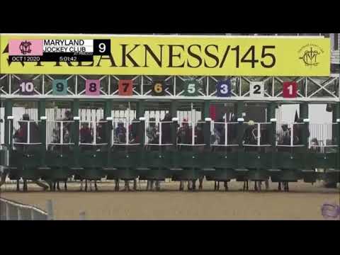 Yaupon win The Chick Lang Stakes $200k ridden by John Velazquez October 1/2020 at Pimlico