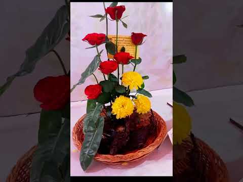 Manika songs #flower colourful garden 🏡🌹 2x