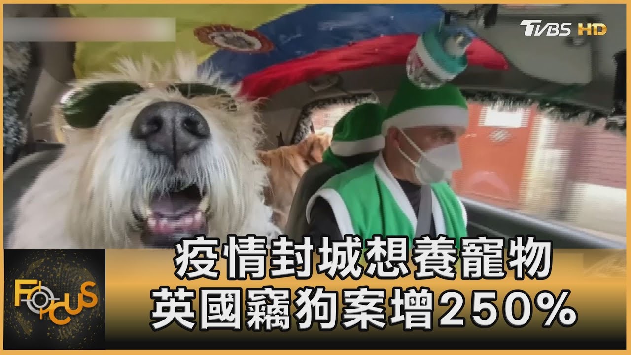 疫情封城想養寵物 英國竊狗案增250%