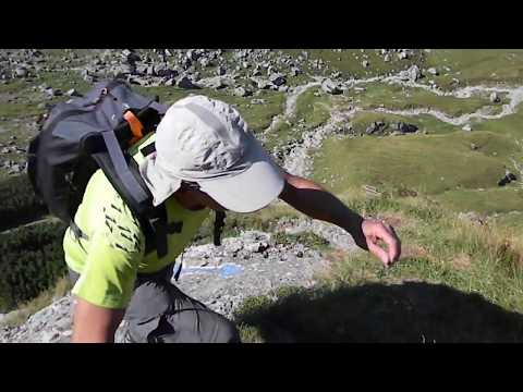 Bucegi(Malaiesti-Brana Caprelor-vf.Bucsoiu-vf.Omu-Poteca de Vara-Malaiesti),1.sept.2019