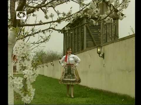 Jasmina Greksa - Dobanovce