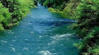 Steve Hogarth - (H Natural) - Real Tears For Sale  (By Marillion)