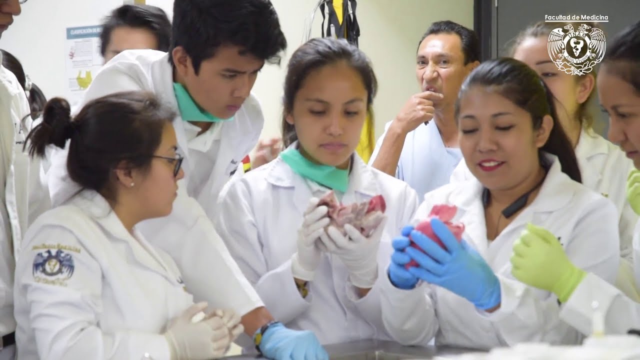 PROUDLY FACULTY OF MEDICINE