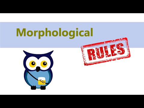 Morphological Rules