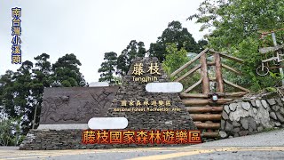 高雄桃源 | 藤枝國家森林遊樂區 | 南台灣小溪頭 | 4K 60P 空拍