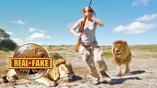 LION TAKES REVENGE ON TROPHY HUNTER - real or fake?