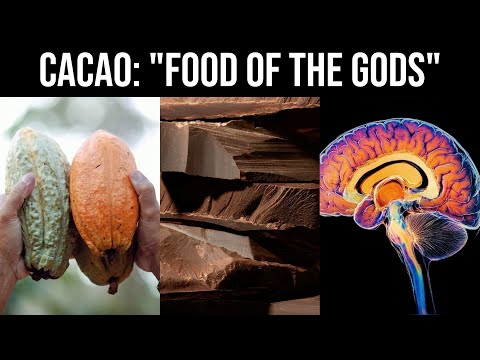 Cacao/Dark Chocolate: Flavanols, Health Benefits, Heavy Metals