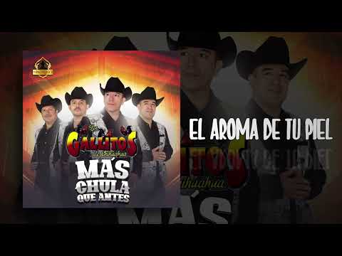 El Aroma De Tu Piel - Los Gallitos de Chihuahua