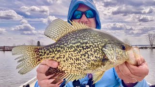Fishing where the Birds are to catch BIG Crappie!
