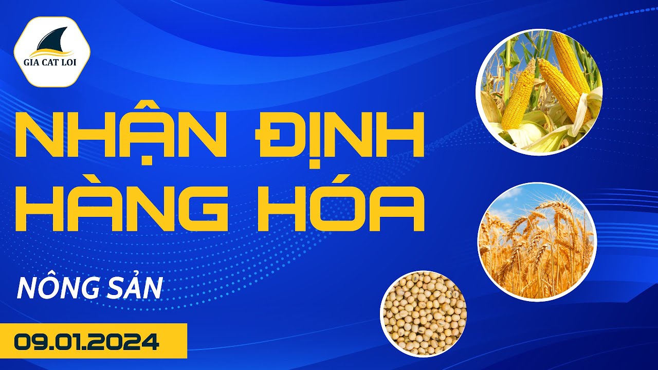 Nhận Định Hàng Hoá Nông Sản Ngày 09/01/2024