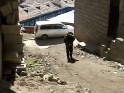 papito lindo_por que no me amas