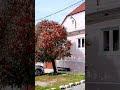 The Most Beautiful Medieval Villages In Transylvania Romania The Beauty Of Autumn In Cincu