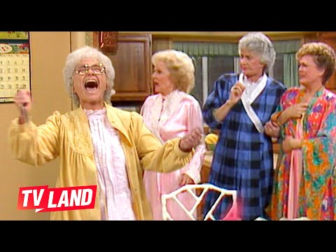 Best Cheesecake Moments on The Golden Girls 🍰 TV Land