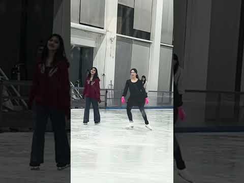 ⛸️