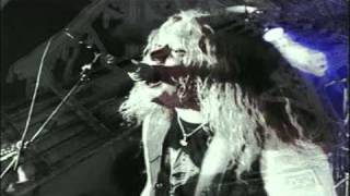 Unleashed - The One Insane