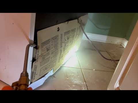 Behind the Fridge is a Massive Cockroach Infestation in Little Silver, NJ