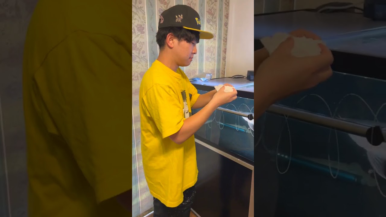 水槽に落書きしたら消えなくなってしまいました…