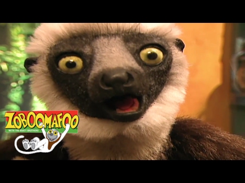 🐵 Zoboomafoo 119 - Running | HD | Full Episode 🐵