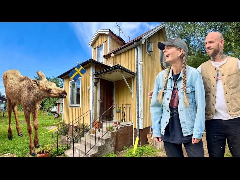 Swedish Moose!! | Motorcycle Paradise on the Roads in Småland (EP. 17)