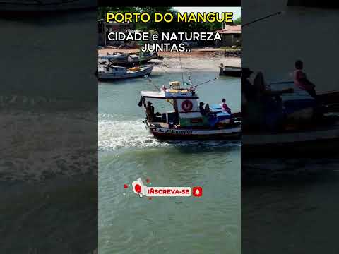 "PORTO MANGUE: UMA CIDADE PERDIDA NO MEIO DA NATUREZA"