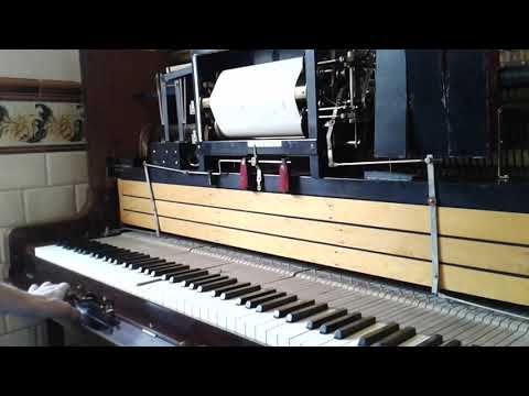 Liebeswalzer | M. Moszkowski | Pianola Steck player piano | Pour Moustie |