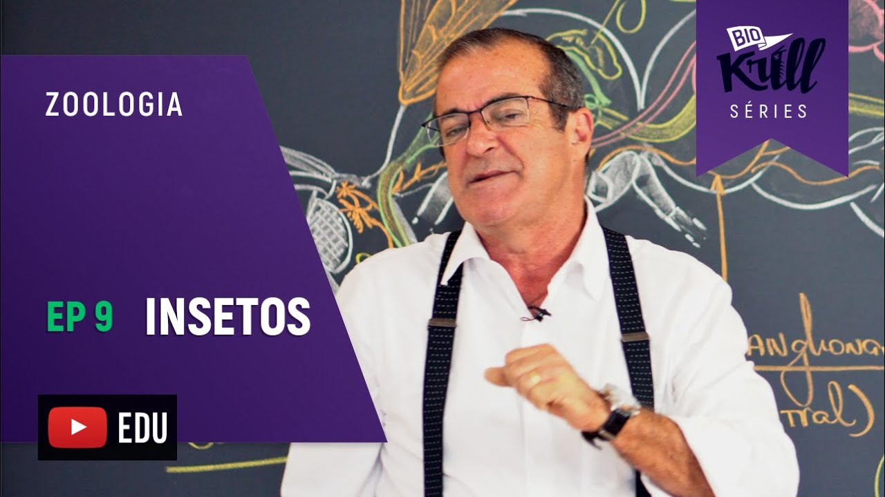 Insetos (Zoologia - EP9) I Biokrill Séries