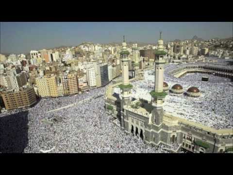 Top 5 Most Common Languages