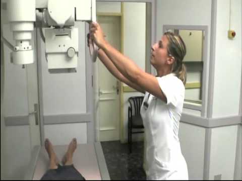 comment soigner la loque européenne