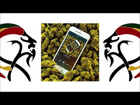 Mr Williamz & Big Zeeks - More Weed (2019 By Tenwest)