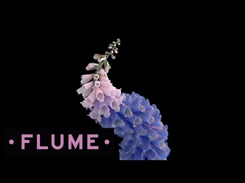 Video Take A Chance (Audio) de Flume 