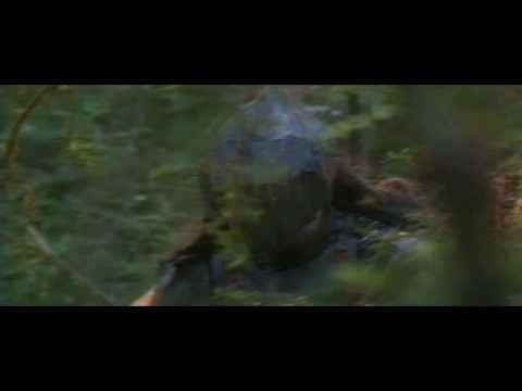 Fellowship vs Goblins deleted scene