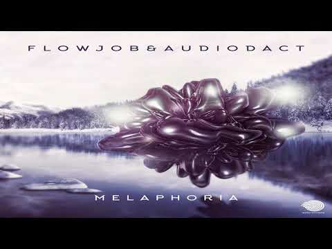 Flowjob & Audiodact - Divided We Stand ᴴᴰ