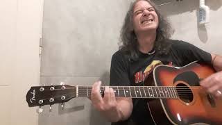 David gilmour love on the  air  cover