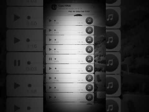 Cristi mega- Impreuna am trăit zile fericite HIT 2018