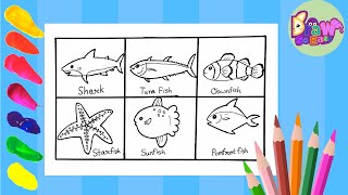 Different Types of Fish Drawing Easy | How to Draw 6 Different Types of Fish Easy Drawing for Kids