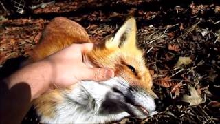 RIP RonRon April 16, 2008 - April 6, 2016