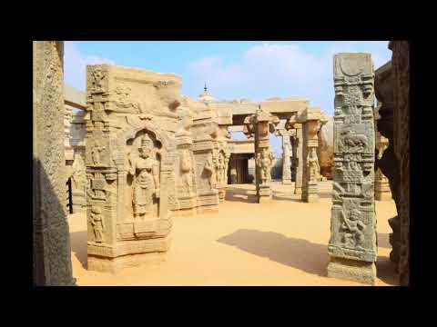 Psylence Mind & Lunarave - Donkey Therapy (Original Mix)