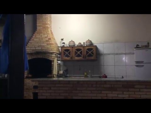 Aline Juvencio (minha irmã - 10 anos) "ataiando" a Nina (gata)