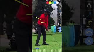 Understanding Arm Movement in the Golf Swing