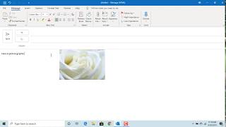 How to Insert a Picture in to an email and Wrap Text around Picture in Outlook - Office 365