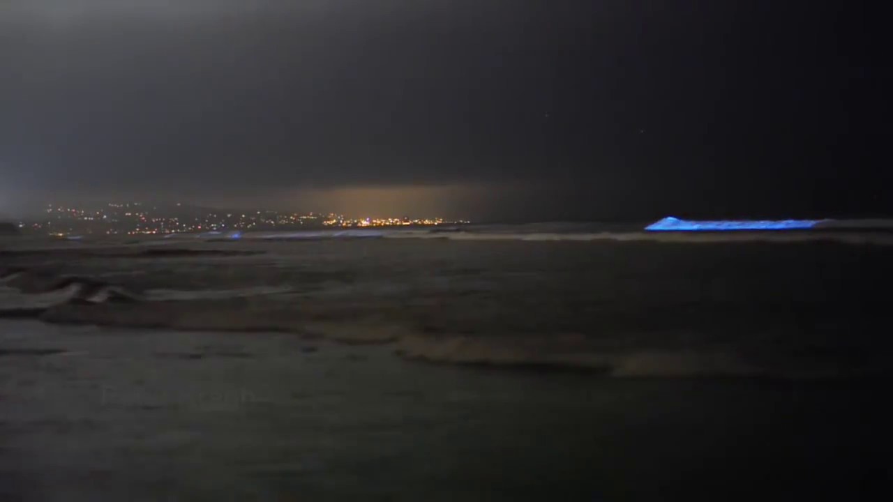 Botum Sakor National Park Video